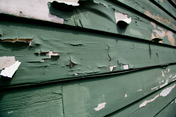 Siding Removal and Disposal in Brighton, MI