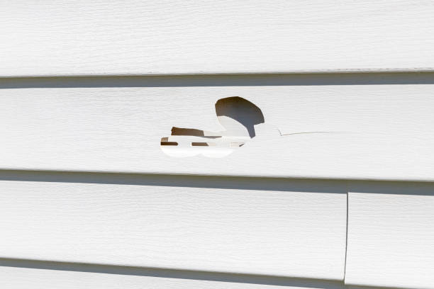 Best Siding for Commercial Buildings  in Brighton, MI